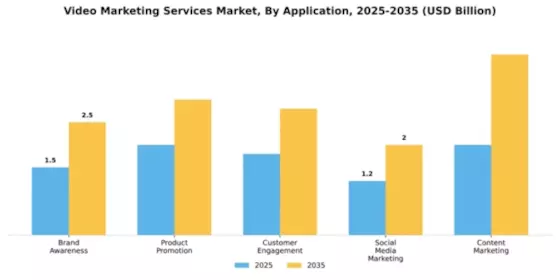 Video Marketing Services Market Segment Image 0