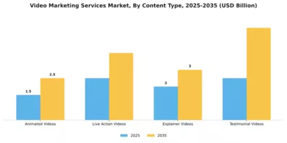 Video Marketing Services Market Segment Image 1