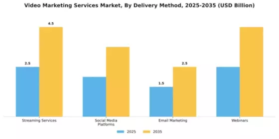 Video Marketing Services Market Segment Image 2