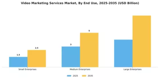 Video Marketing Services Market Segment Image 3