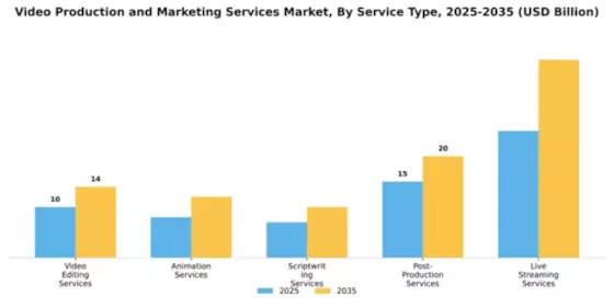 Video Production and Marketing Services Market Segment Image 2