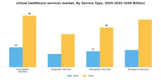virtual healthcare services market Segment Image 3