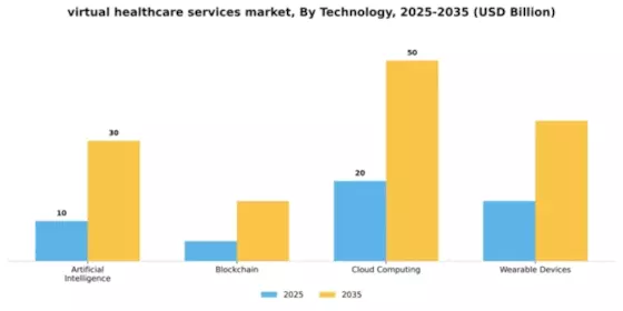 virtual healthcare services market Segment Image 4