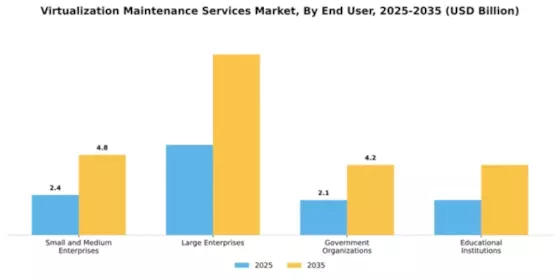 Virtualization Maintenance Services Market Segment Image 1