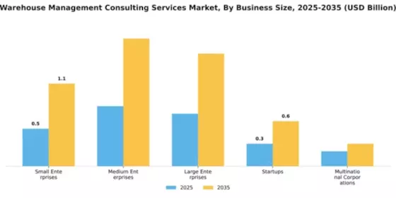Warehouse Management Consulting Services Market Segment Image 1