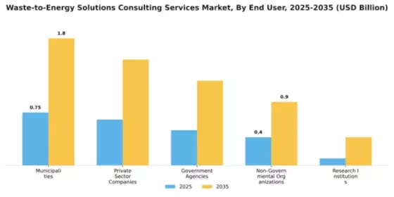 Waste-to-Energy Solutions Consulting Services Market Segment Image 1