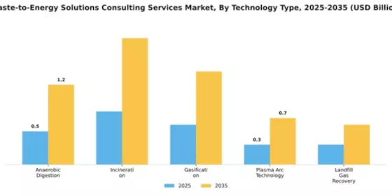 Waste-to-Energy Solutions Consulting Services Market Segment Image 2