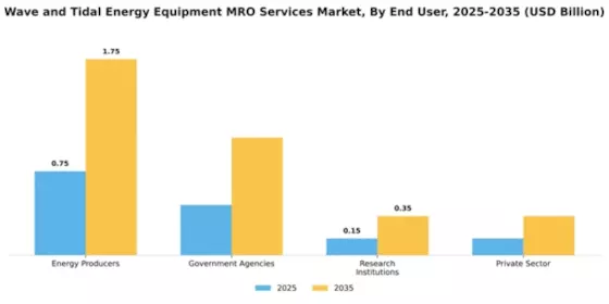 Wave and Tidal Energy Equipment MRO Services Market Segment Image 1