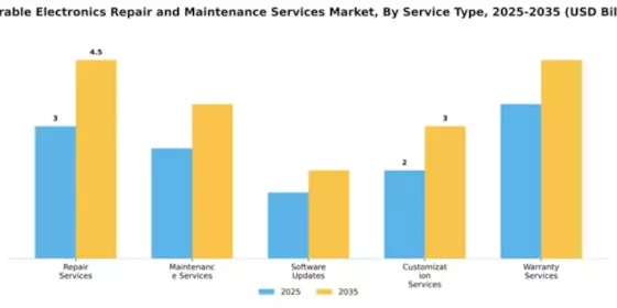 Wearable Electronics Repair and Maintenance Services Market Segment Image 3