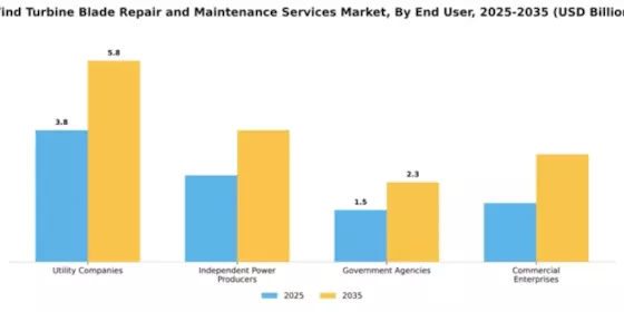 Wind Turbine Blade Repair and Maintenance Services Market Segment Image 2