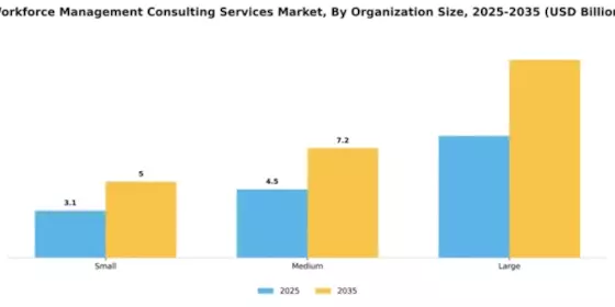 Workforce Management Consulting Services Market Segment Image 3