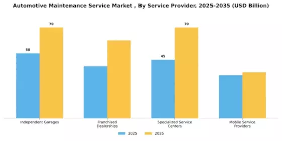 Automotive Maintenance Service Market Segment Image 1
