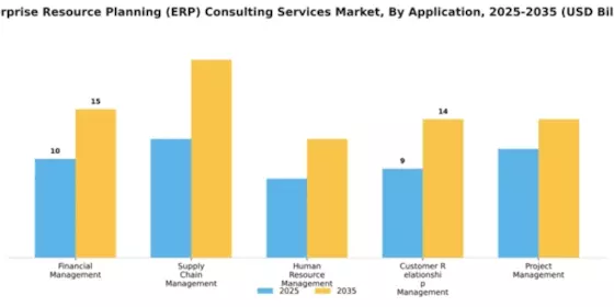 Enterprise Resource Planning (ERP) Consulting Services Market Segment Image 0