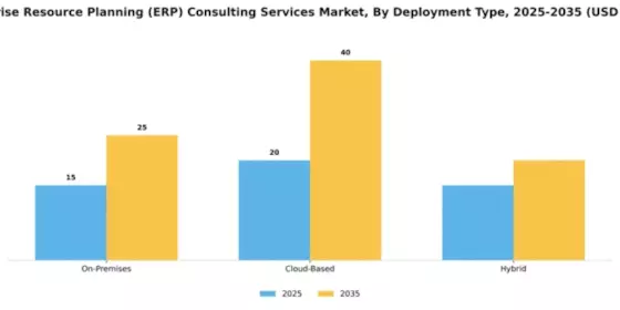 Enterprise Resource Planning (ERP) Consulting Services Market Segment Image 1