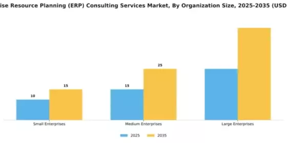 Enterprise Resource Planning (ERP) Consulting Services Market Segment Image 3