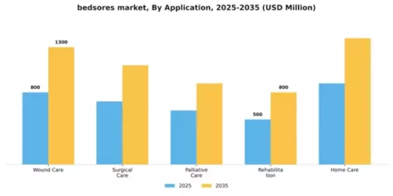 bedsores market Segment Image 0