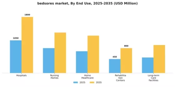 bedsores market Segment Image 1