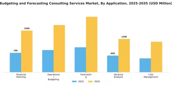 Budgeting and Forecasting Consulting Services Market Segment Image 0