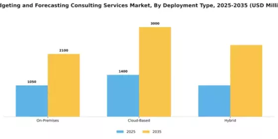 Budgeting and Forecasting Consulting Services Market Segment Image 1