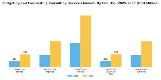 Budgeting and Forecasting Consulting Services Market Segment Image 2