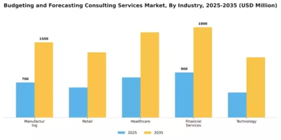 Budgeting and Forecasting Consulting Services Market Segment Image 3