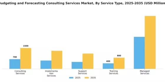 Budgeting and Forecasting Consulting Services Market Segment Image 4