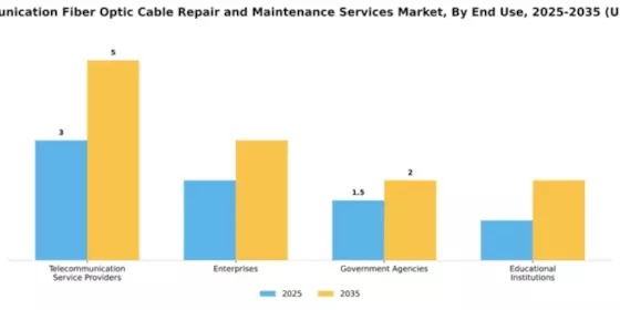 Telecommunication Fiber Optic Cable Repair and Maintenance Services Market Segment Image 2