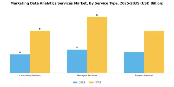 Marketing Data Analytics Services Market Segment Image 4