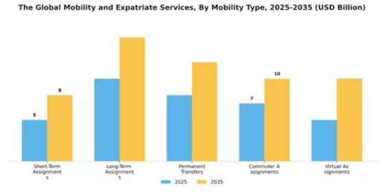 The Global Mobility and Expatriate Services Market Segment Image 2