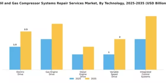 Oil and Gas Compressor Systems Repair Services Market Segment Image 4