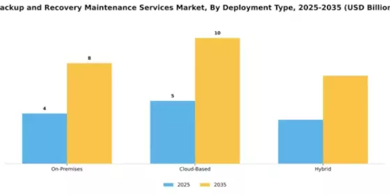 Backup and Recovery Maintenance Services Market Segment Image 1