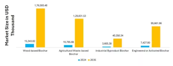 Biochar for Electric Arc Furnace Steelmaking Market Segment Image 2