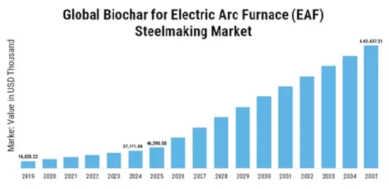 Biochar for Electric Arc Furnace Steelmaking Market Size