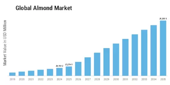 Almond Market Size