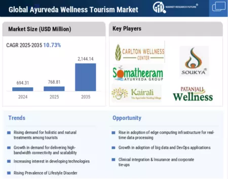 Ayurveda Wellness Tourism Market  Infographic