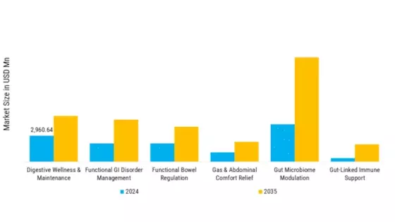 Digestive Health Supplements Market Segment Image 2