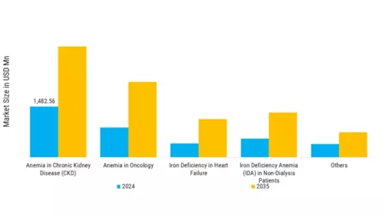 Intravenous Iron Market Segment Image 1