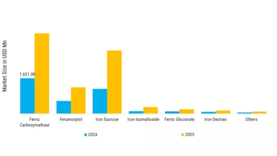 Intravenous Iron Market Segment Image 0
