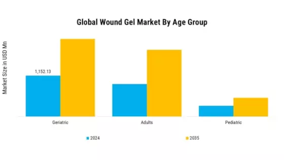 Wound Gel Market Segment Image 3