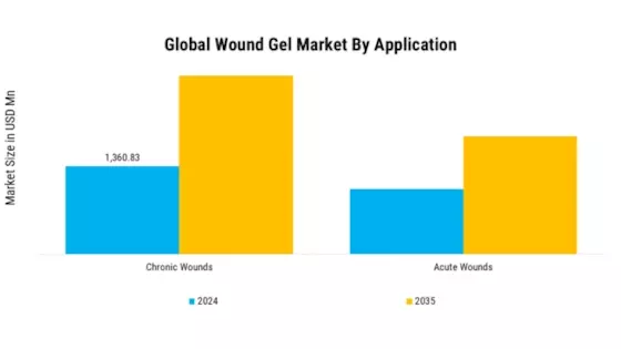 Wound Gel Market Segment Image 2