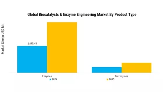 Biocatalysts and Enzyme Engineering Market Segment Image 0