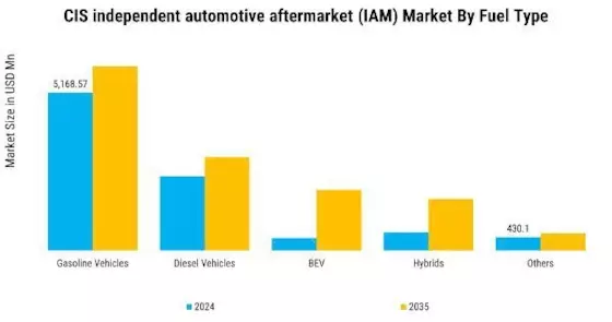 CIS Independent Automotive Aftermarket Market Segment Image 3