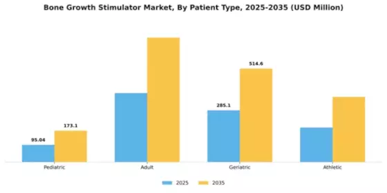 Bone Growth Stimulator Market Segment Image 2