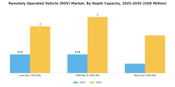 Remotely Operated Vehicle Market Segment Image 3