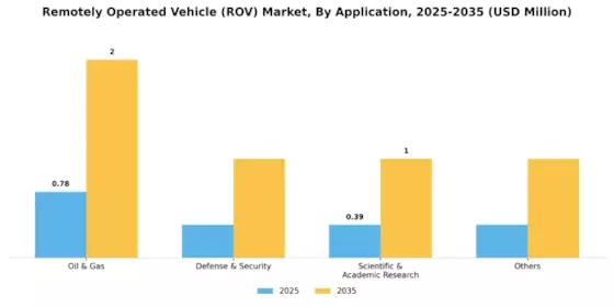 Remotely Operated Vehicle Market Segment Image 4