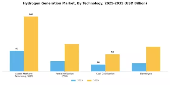 Hydrogen Generation Market Segment Image 2