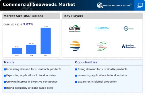 Commercial Seaweeds Market Research Report – Global Forecast till 2035 Infographic