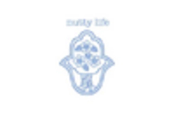 Cashew Milk Market key player