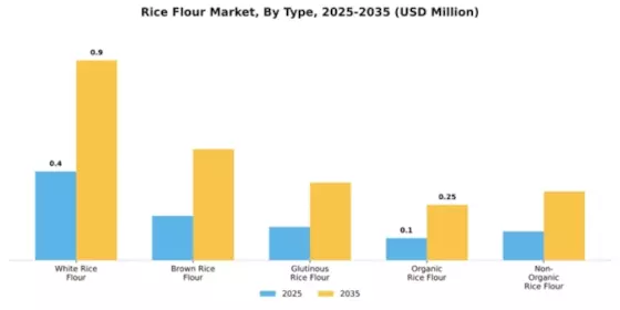 Rice Flour Market Segment Image 4