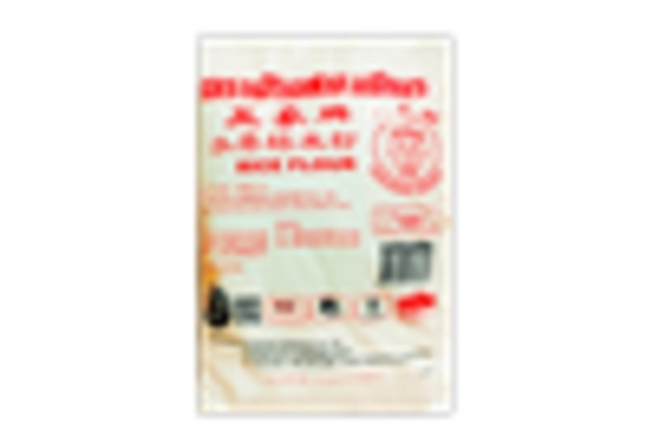 Rice Flour Market key player